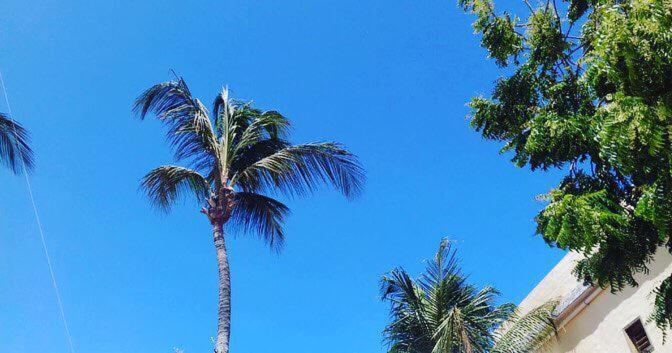Villa Guarani Jeri Jijoca de Jericoacoara Ngoại thất bức ảnh
